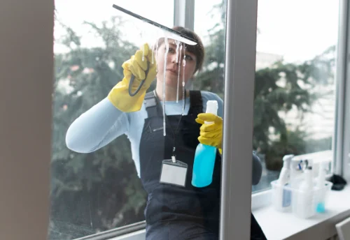 Nettoyage de vitres intérieures et extérieures à Lamorville